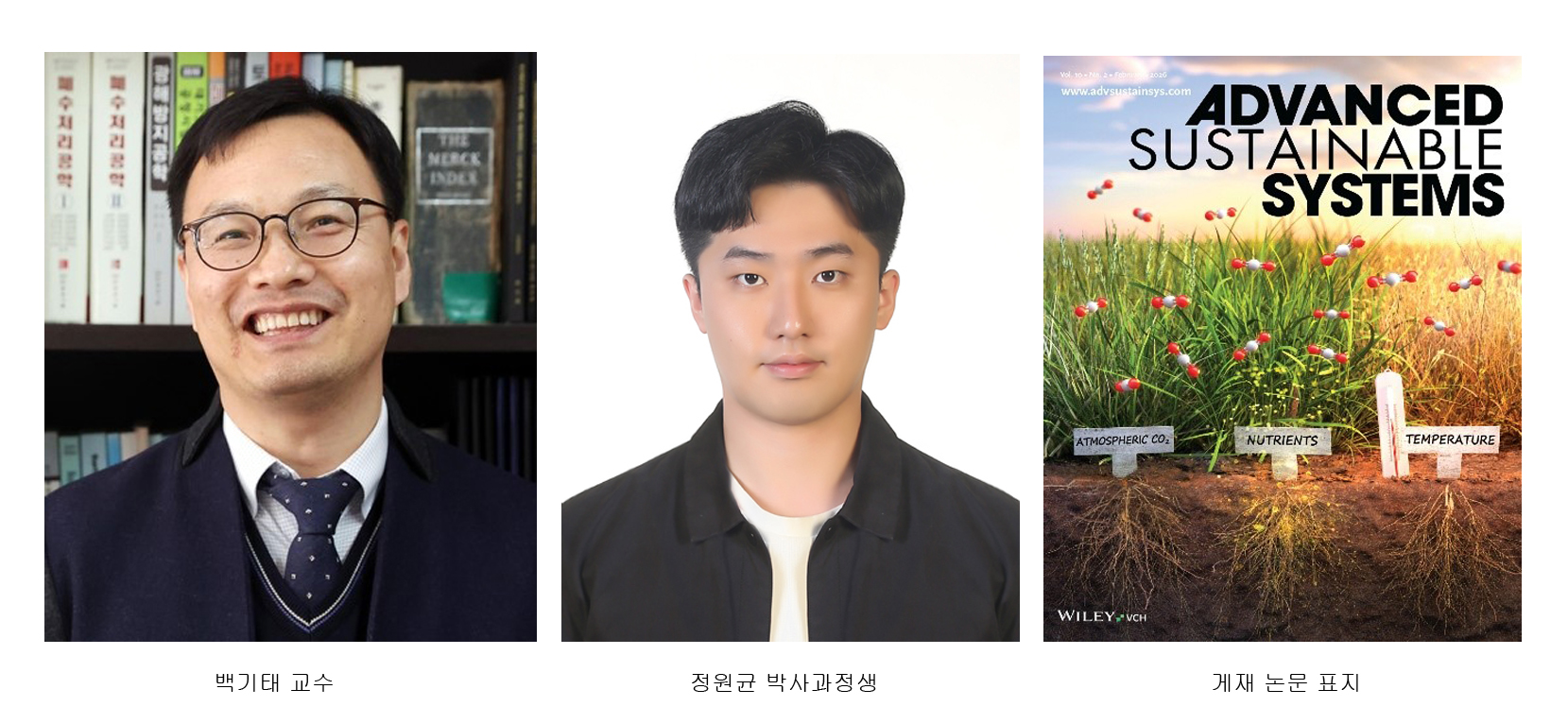 백기태 교수팀, 식물로 탄소 줄일 ‘최적 조건’ 찾았다 대표이미지